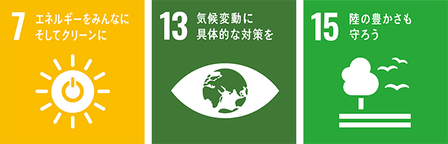 SDGs 7 13 15